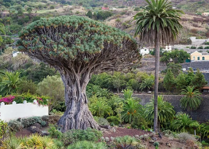 Superior A: Private Pool & Concierge Appartement *